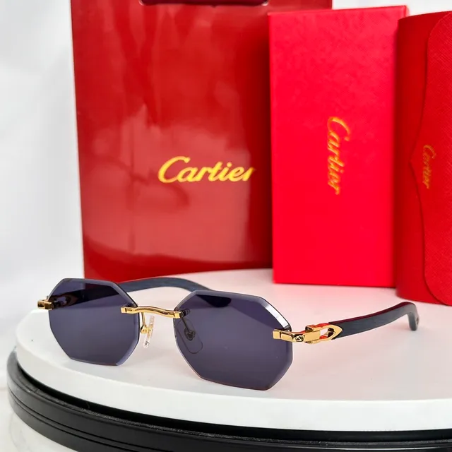 Cartier Santos Lunettes de Soleil Marron Doré Sans Monture Détail de Charnière 7