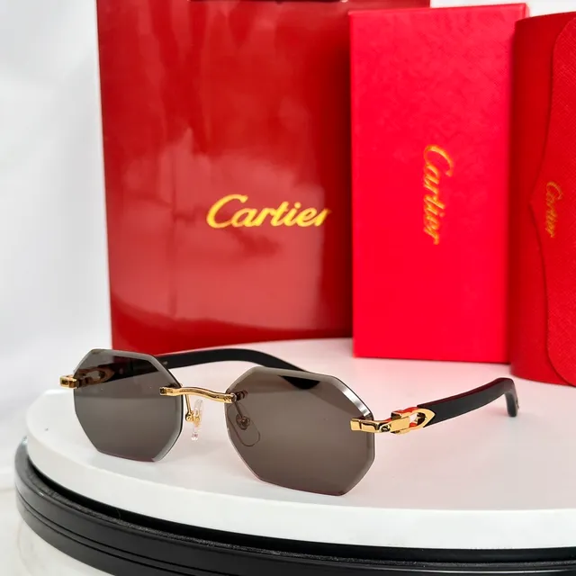 Cartier Santos Lunettes de Soleil Marron Doré Sans Monture Détail de Charnière 8