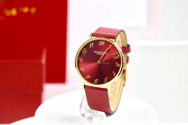 Coach Red Gold Round Case Leather Strap Quartz Watch 3