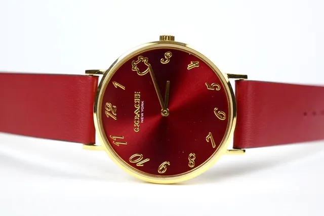 Coach Red Gold Round Case Leather Strap Quartz Watch 4