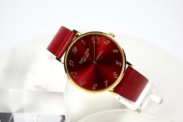 Coach Red Gold Round Case Leather Strap Quartz Watch 6