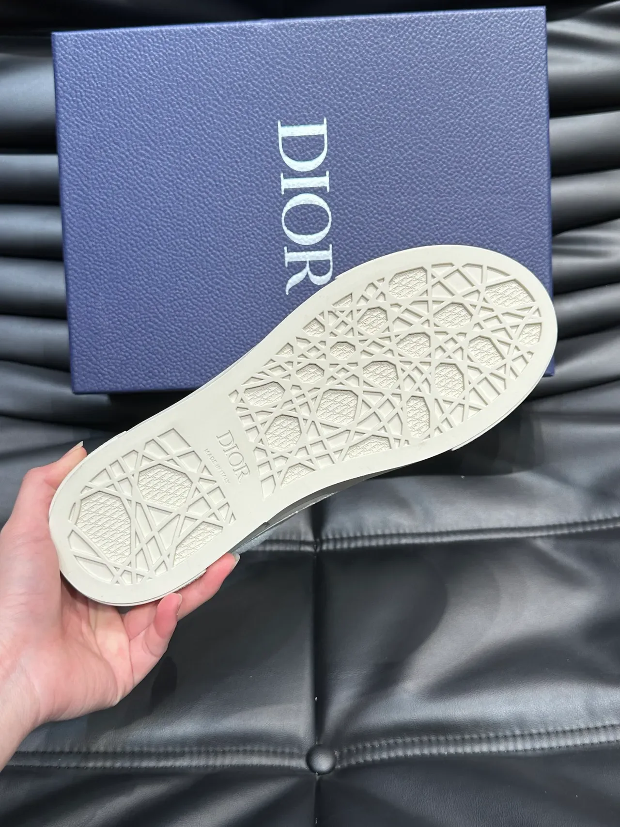Dior B23 White and Silver Metallic Logo Lifestyle Sneakers 2