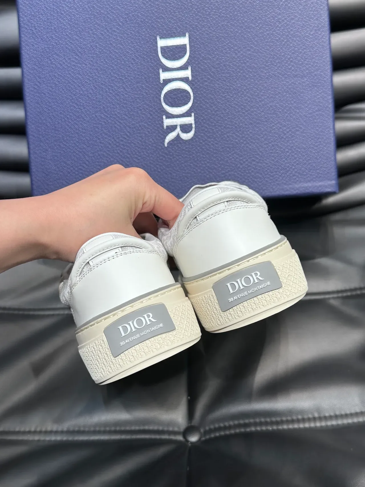 Dior B23 White and Silver Metallic Logo Lifestyle Sneakers 4