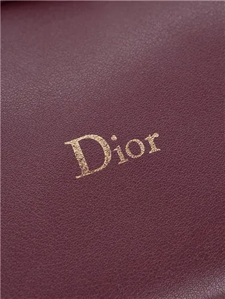 Dior পাপড়ি বার্গন্ডি কালো অতিরিক্ত বড় বন্ধন স্ট্রাকচার্ড সিলুয়েট এনভেলপ ক্লাচ 15