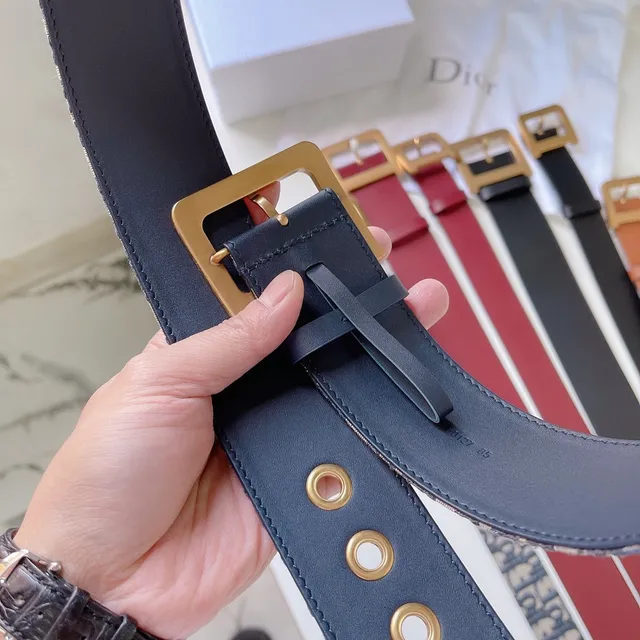 Dior Oblique Monogram حزام بيج ونافي كانفاس 2