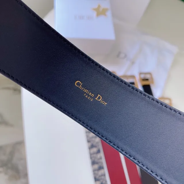 Dior Oblique Monogram حزام بيج ونافي كانفاس 3