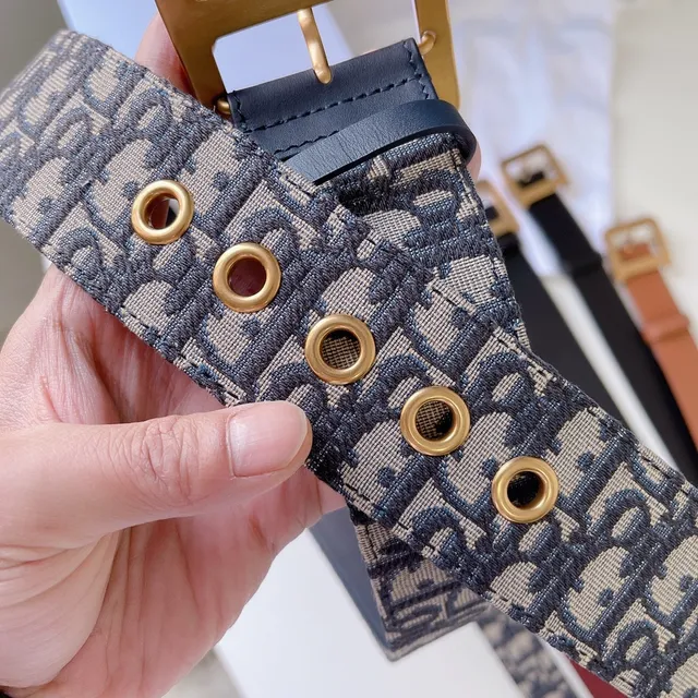 Dior Oblique Monogram حزام بيج ونافي كانفاس 5