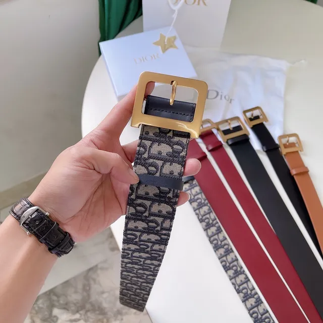 Dior Oblique Monogram حزام بيج ونافي كانفاس 7