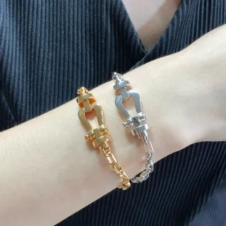 সোনা এবং রুপো Shackle-Link Chain ব্রেসলেট