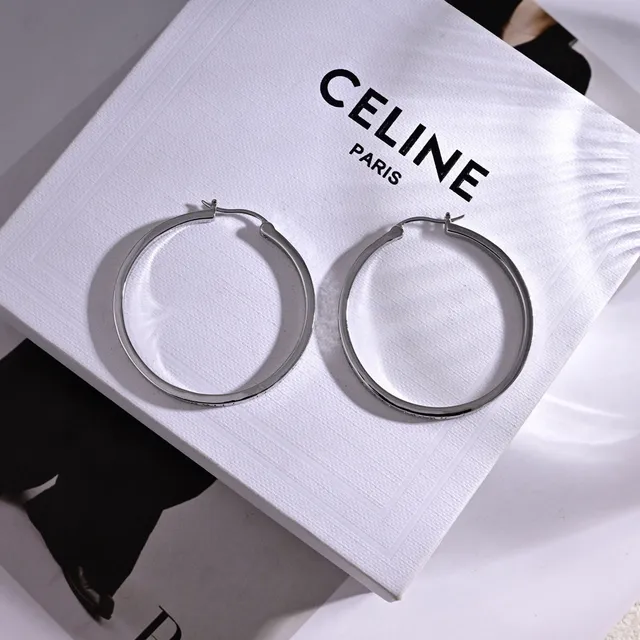 Silver Gold Hoop Hinged Closure Earrings 2