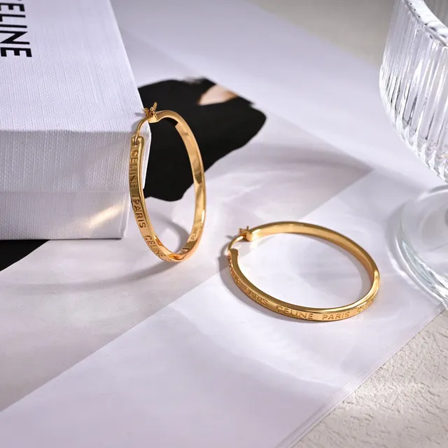 Silver Gold Hoop Hinged Closure Earrings 3