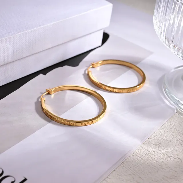 Silver Gold Hoop Hinged Closure Earrings 5