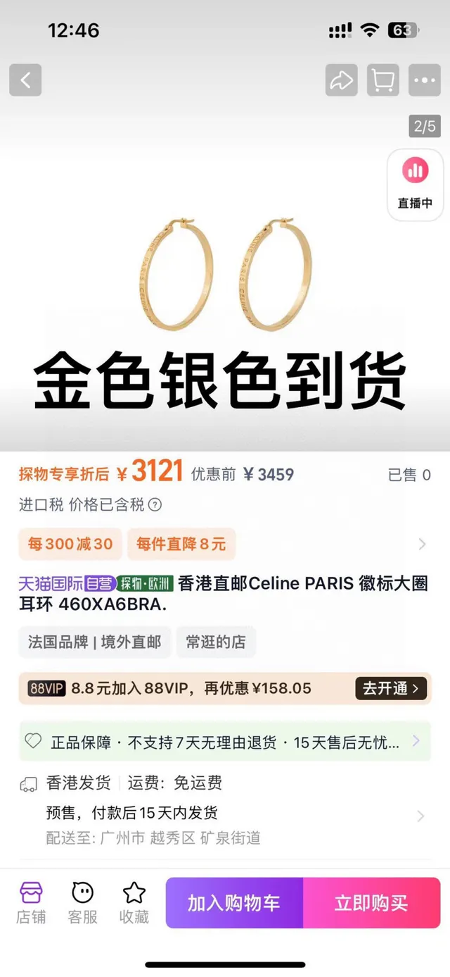 Silver Gold Hoop Hinged Closure Earrings 6
