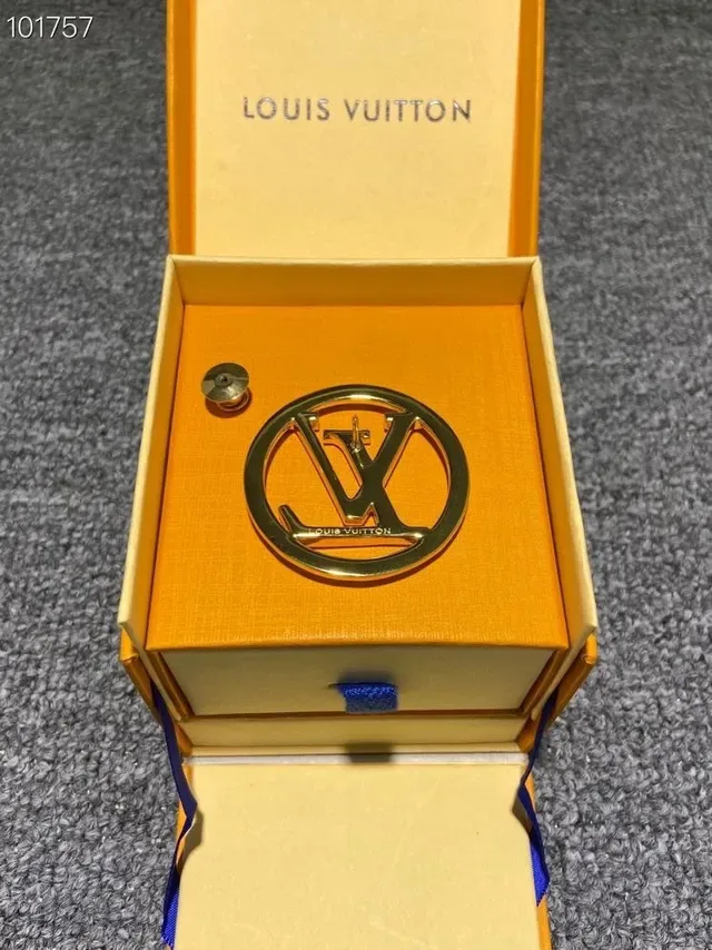 Louis Vuitton Broche Circular LV Monograma Dorado 6