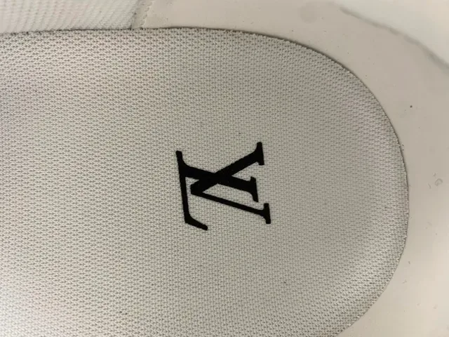 Louis Vuitton Argent Brun Métallique Cuir Craquelé Dessus Layered Semelle Blanche/noir/gomme Sneakers Lifestyle 9