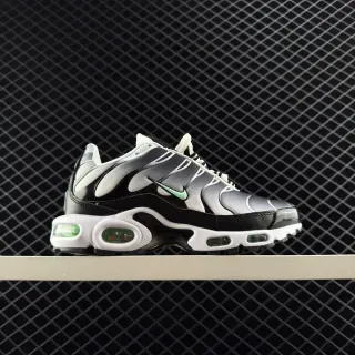 Nike Air Max Plus Black Silver Green लाइफस्टाइल स्नीकर
