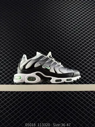 Nike Air Max Plus Black Silver Green Lifestyle Sneakers 2