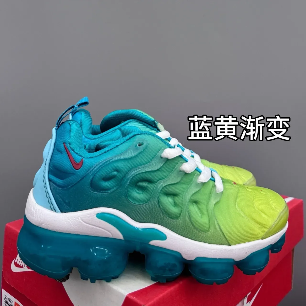 Nike Air VaporMax Plus Blue Lifestyle Sneakers 13