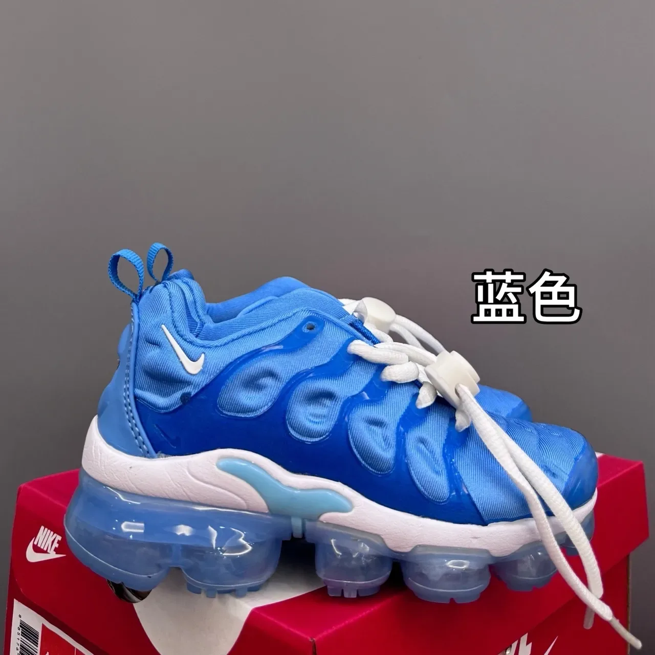 Nike Air VaporMax Plus Blue Lifestyle Sneakers 23