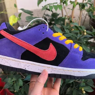Nike SB Dunk Low Purple Black Red Yellow Skateboard Shoes