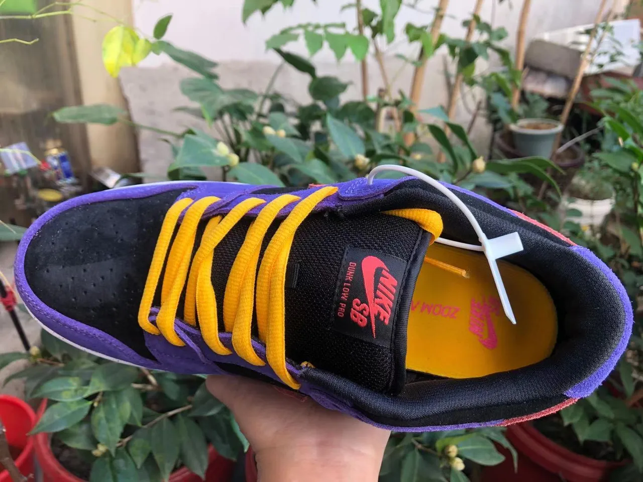 Nike SB Dunk Low violet noir rouge jaune chaussures de skateboard 2