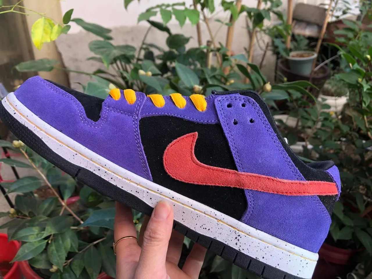 Nike SB Dunk Low violet noir rouge jaune chaussures de skateboard 3