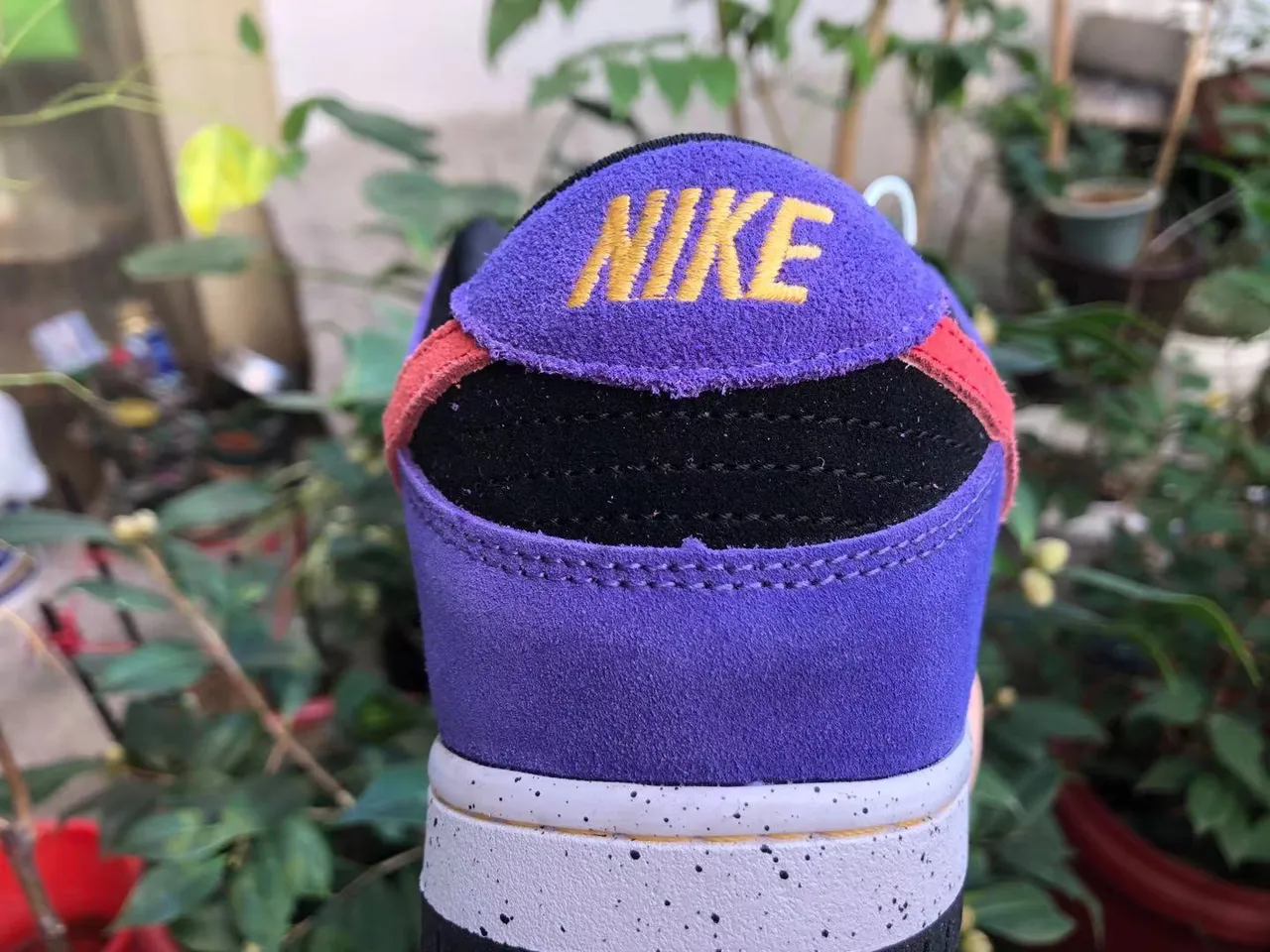Nike SB Dunk Low violet noir rouge jaune chaussures de skateboard 4