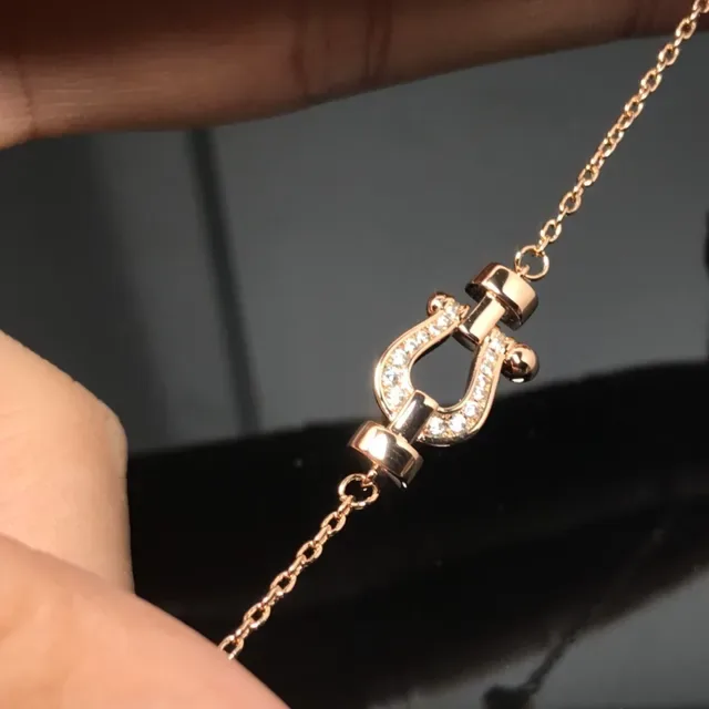 Tiffany & Co. HardWear Gold Silver Chain Horseshoe-Shaped Pendant Necklace 4