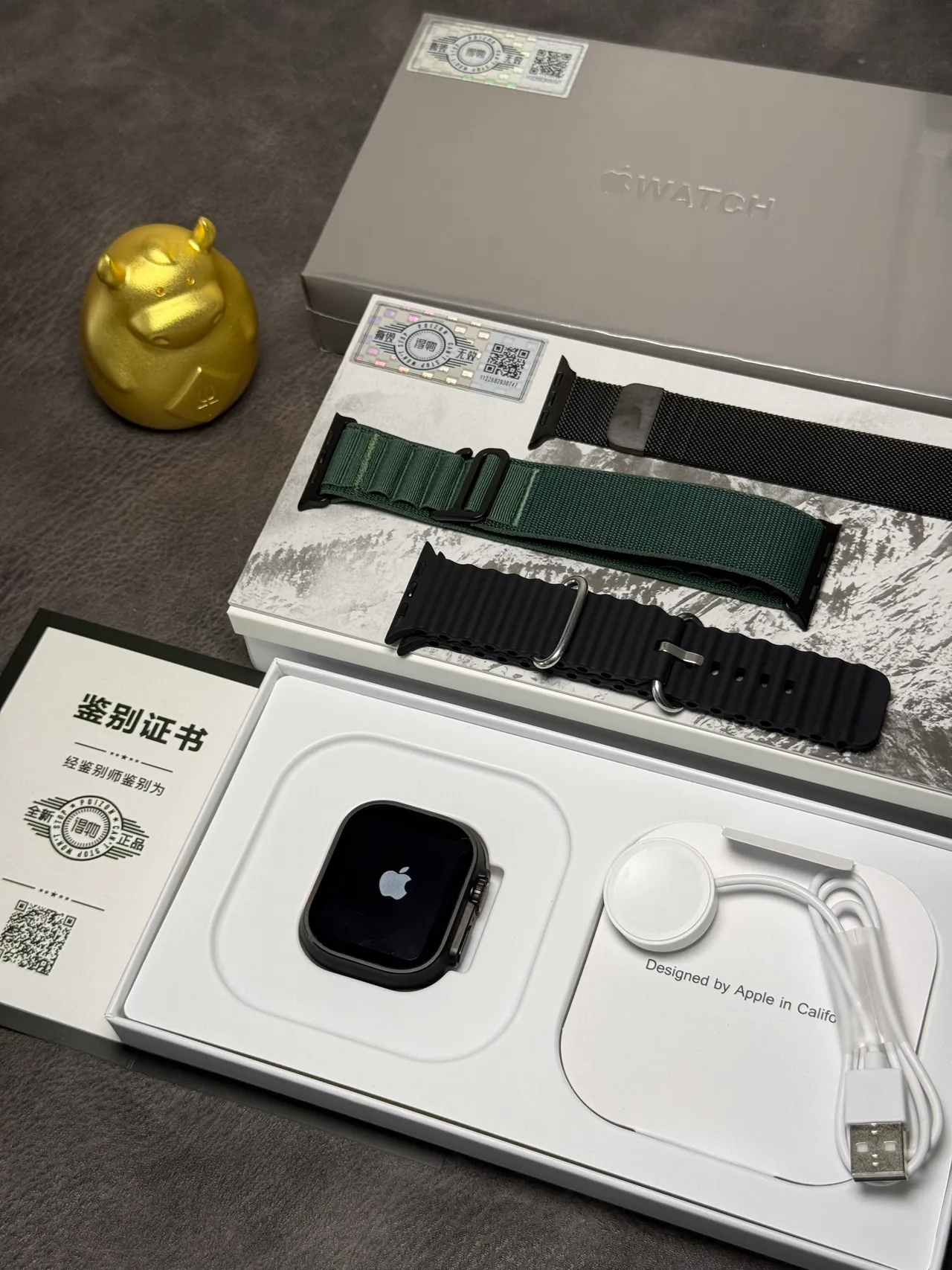 Apple Watch Ultra Pulseira Ocean Preta Relógio Desportivo 11