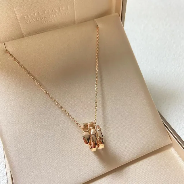 Bvlgari Serpenti Tubogas or argent tubulaire interlocking pendentif métal poli collier 4
