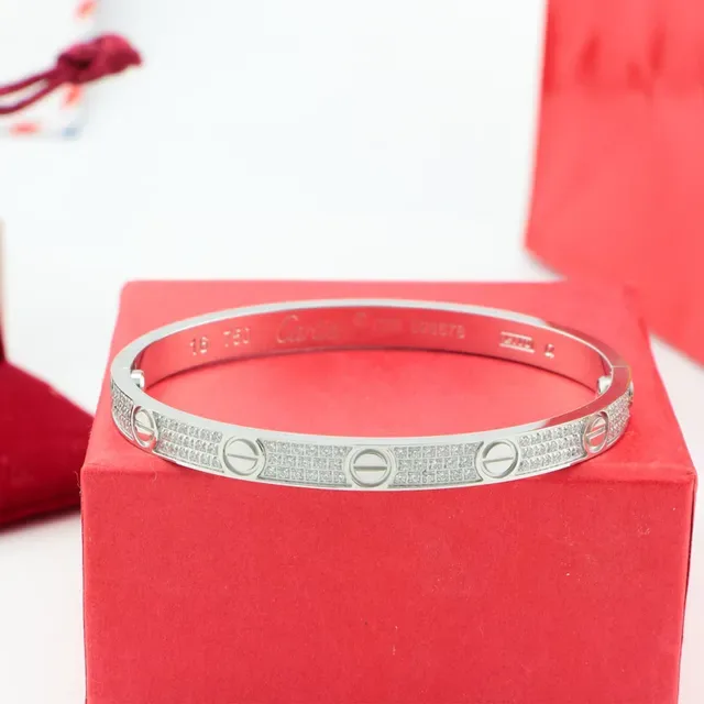 Cartier Bangle Rigide Pavé-Set Or et Argent 3