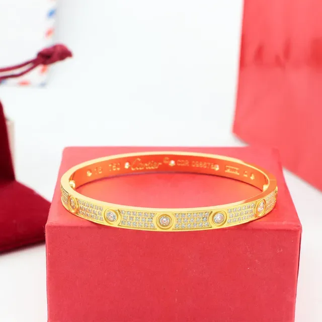 Cartier Bangle Rigide Pavé-Set Or et Argent 4