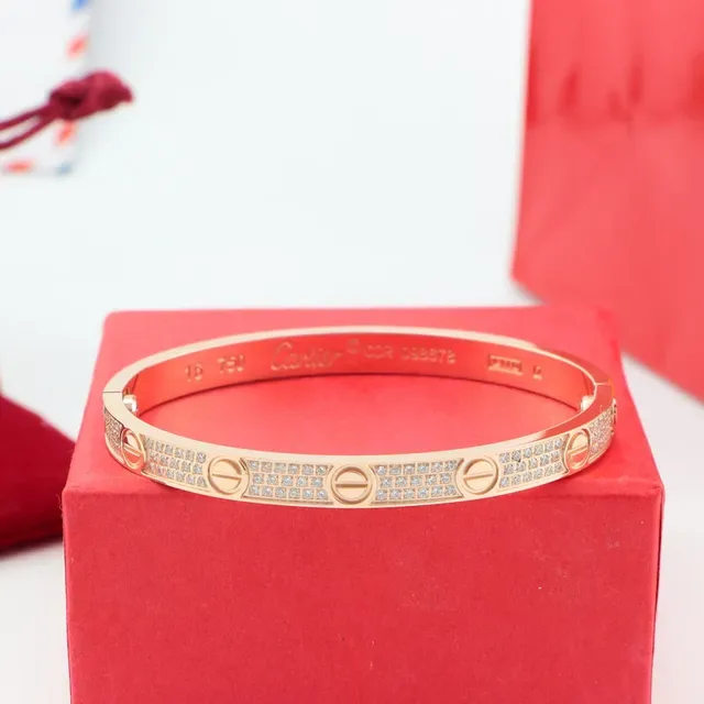 Cartier Bangle Rigide Pavé-Set Or et Argent 7