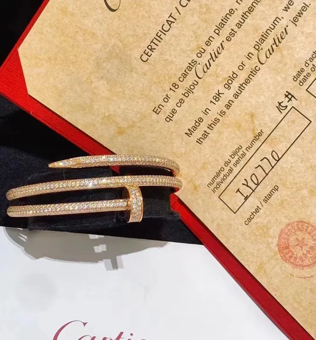 Cartier Juste un Clou Pavé Diamond Double-Bar pulseiras 9