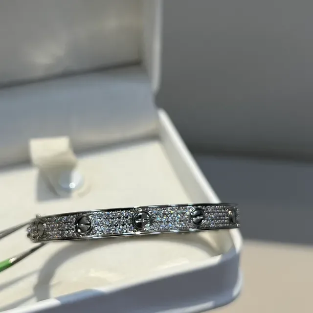 Pulseira Cartier Love Motivo de Parafuso Pavé-Set em Prata 3