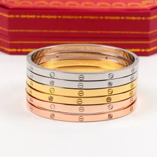 Cartier Love Gold Silver Screw-Motif Flat-Profile Bracelet