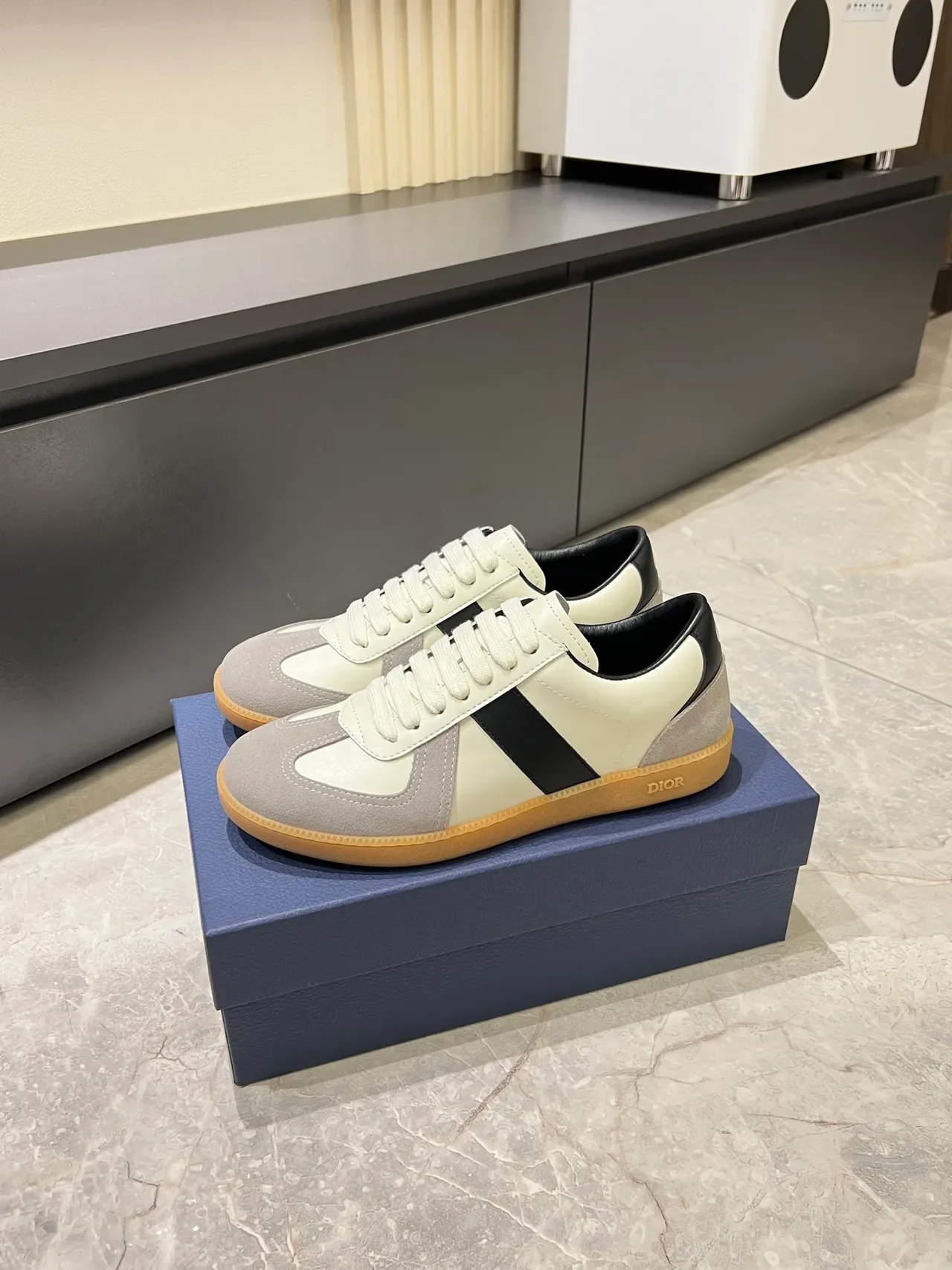 Dior B27 Sneaker Lifestyle en Cuir et Daim Panelés 4