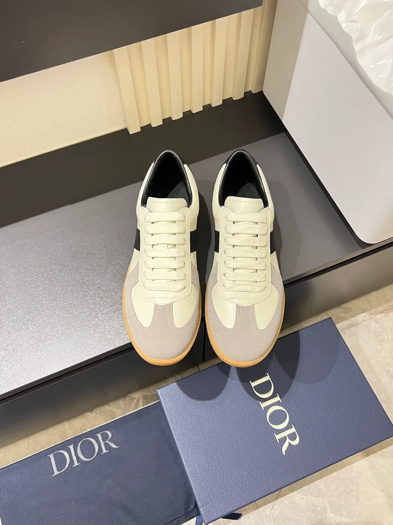 Dior B27 Sneaker Lifestyle en Cuir et Daim Panelés 5