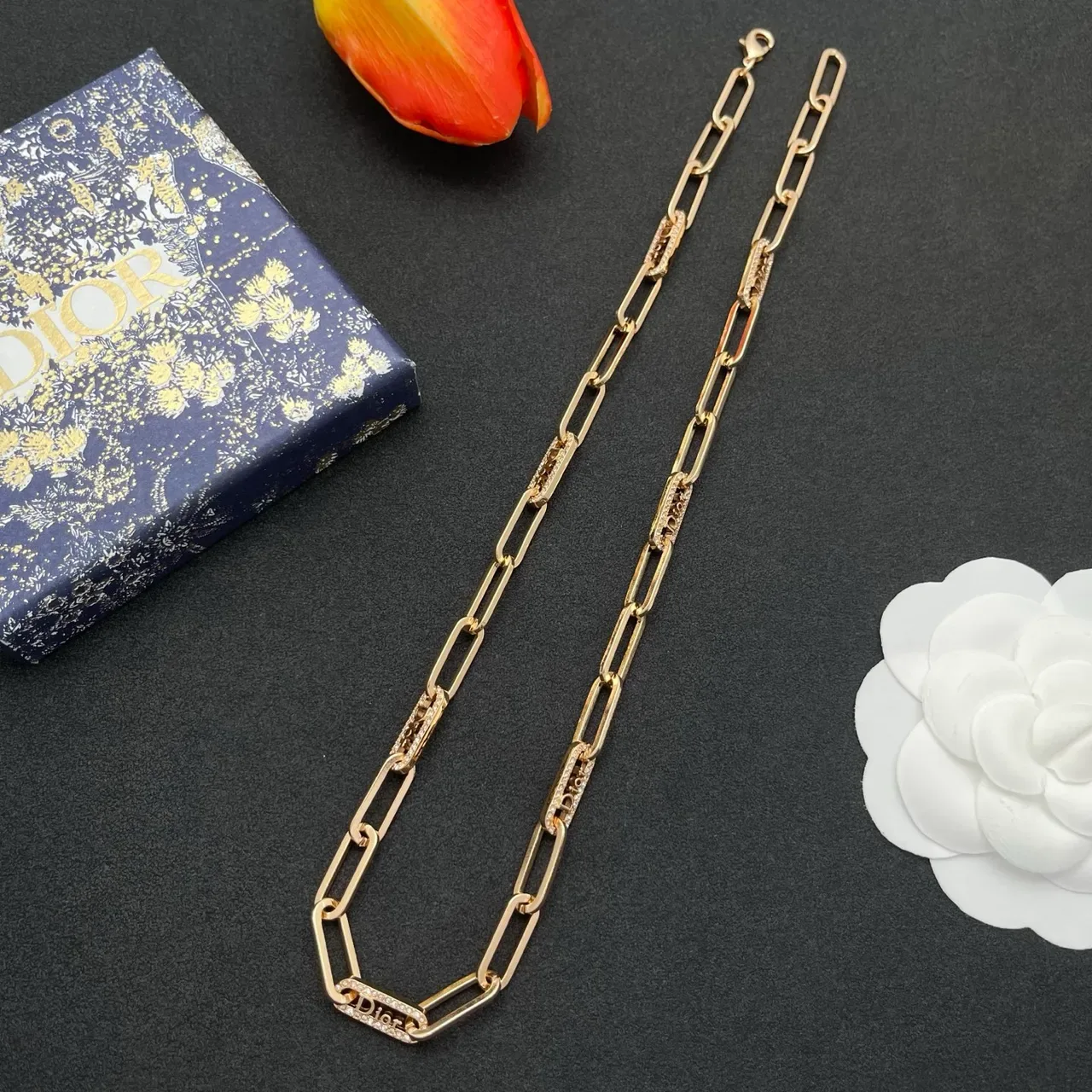 Dior Paperclip-Link Logo Chain Necklace 7