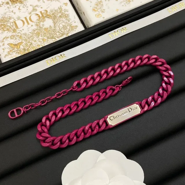 Dior Pink Silver Chunky Curb Chain Engraved Metal Plaque Bracelet 7