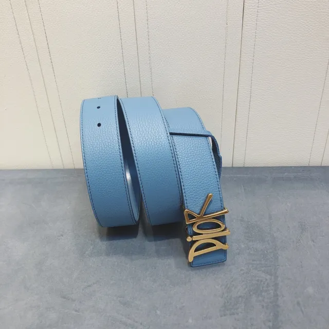 Dior Script Logo Belt নীল সোনা দানাদার বাকল চামড়া বেল্ট 3