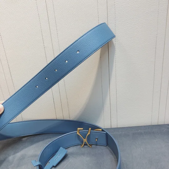 Dior Script Logo Belt নীল সোনা দানাদার বাকল চামড়া বেল্ট 6