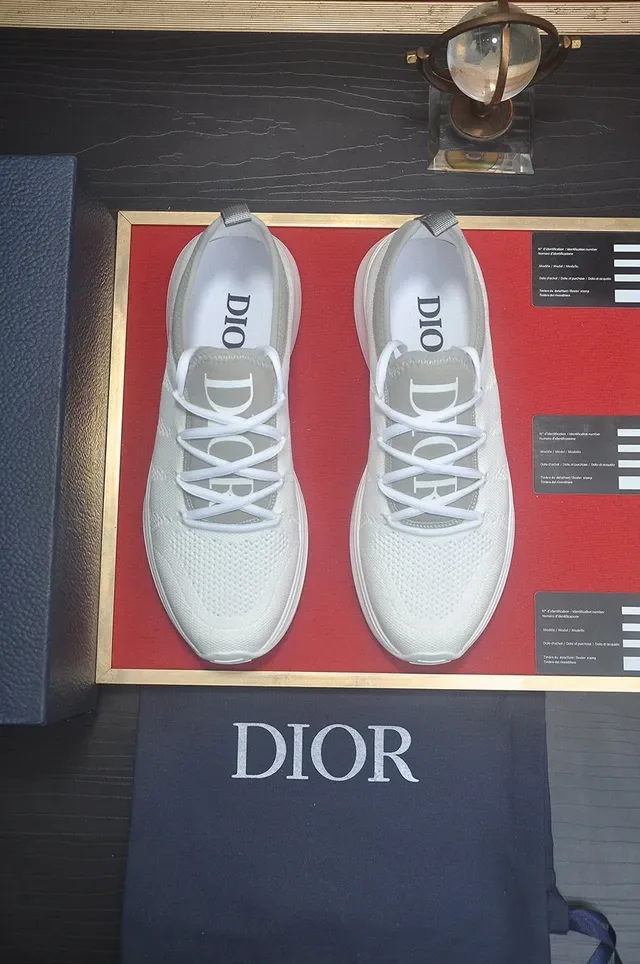 Dior White Gray Knit Upper Engineered Mesh Lifestyle Sneakers 2