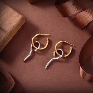 Gold Silver Two-Tone Textured Tail Detail Earrings