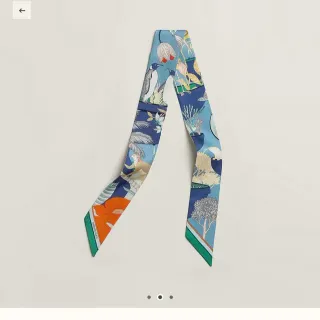 Hermès Twilly Jardin des Merveilles 多彩丝巾