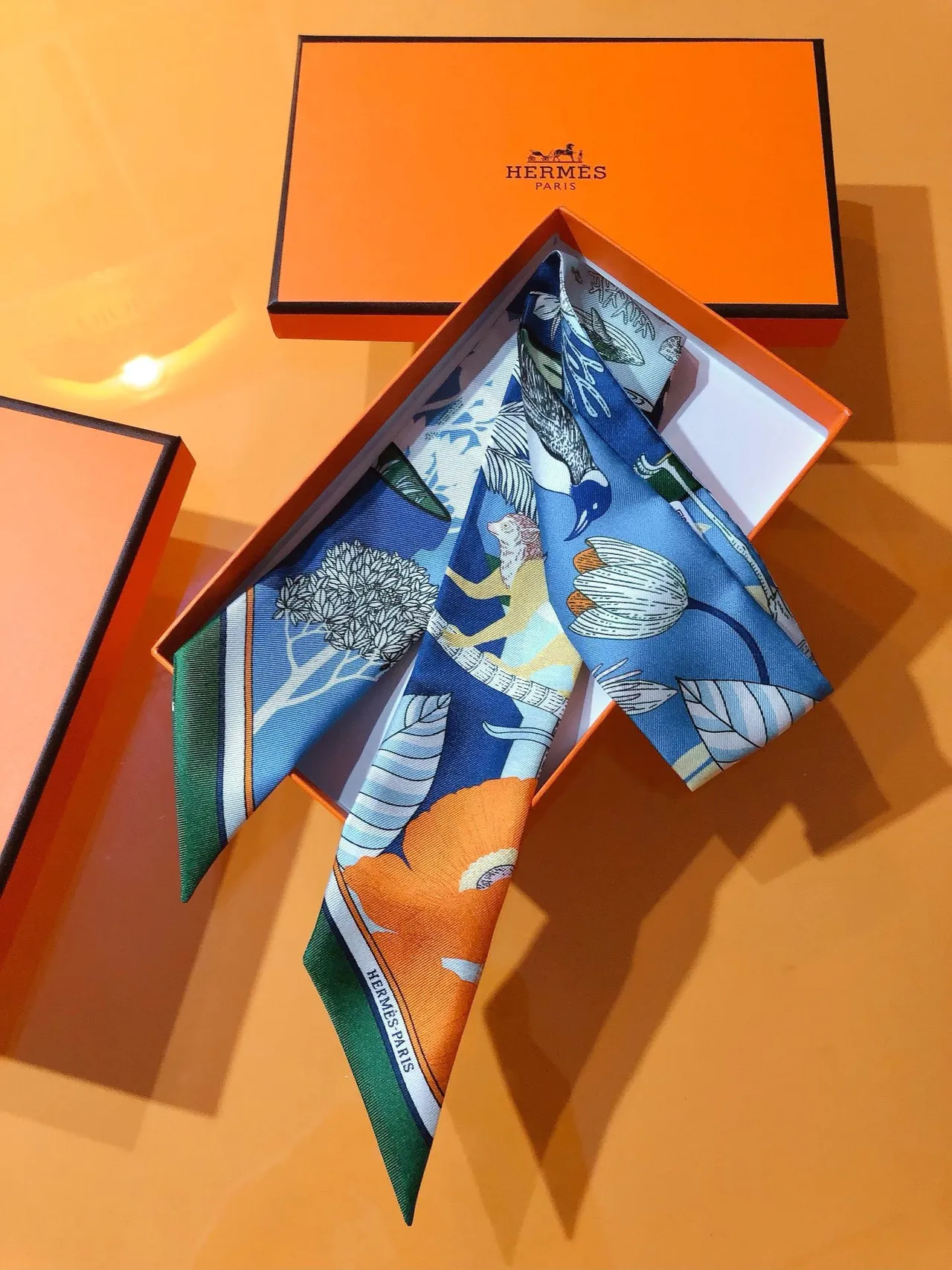 Hermès Twilly Jardin des Merveilles Multicolor Silk Scarf 6