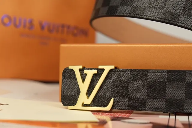 Louis Vuitton LV Belt Damier Graphite Gold-Tone Leather Belt 2