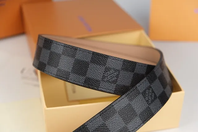 Louis Vuitton LV Belt Damier Graphite Gold-Tone Leather Belt 3