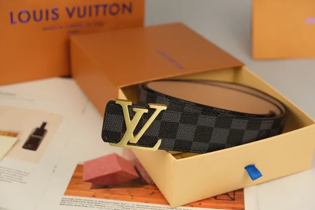 Louis Vuitton LV Belt Damier Graphite Gold-Tone Leather Belt 4