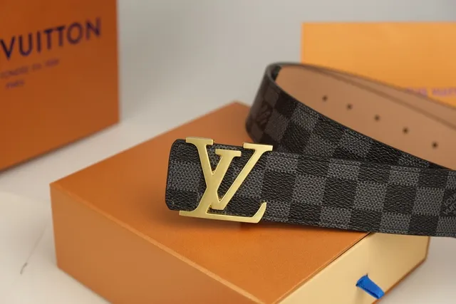 Louis Vuitton LV Belt Damier Graphite Gold-Tone Leather Belt 5